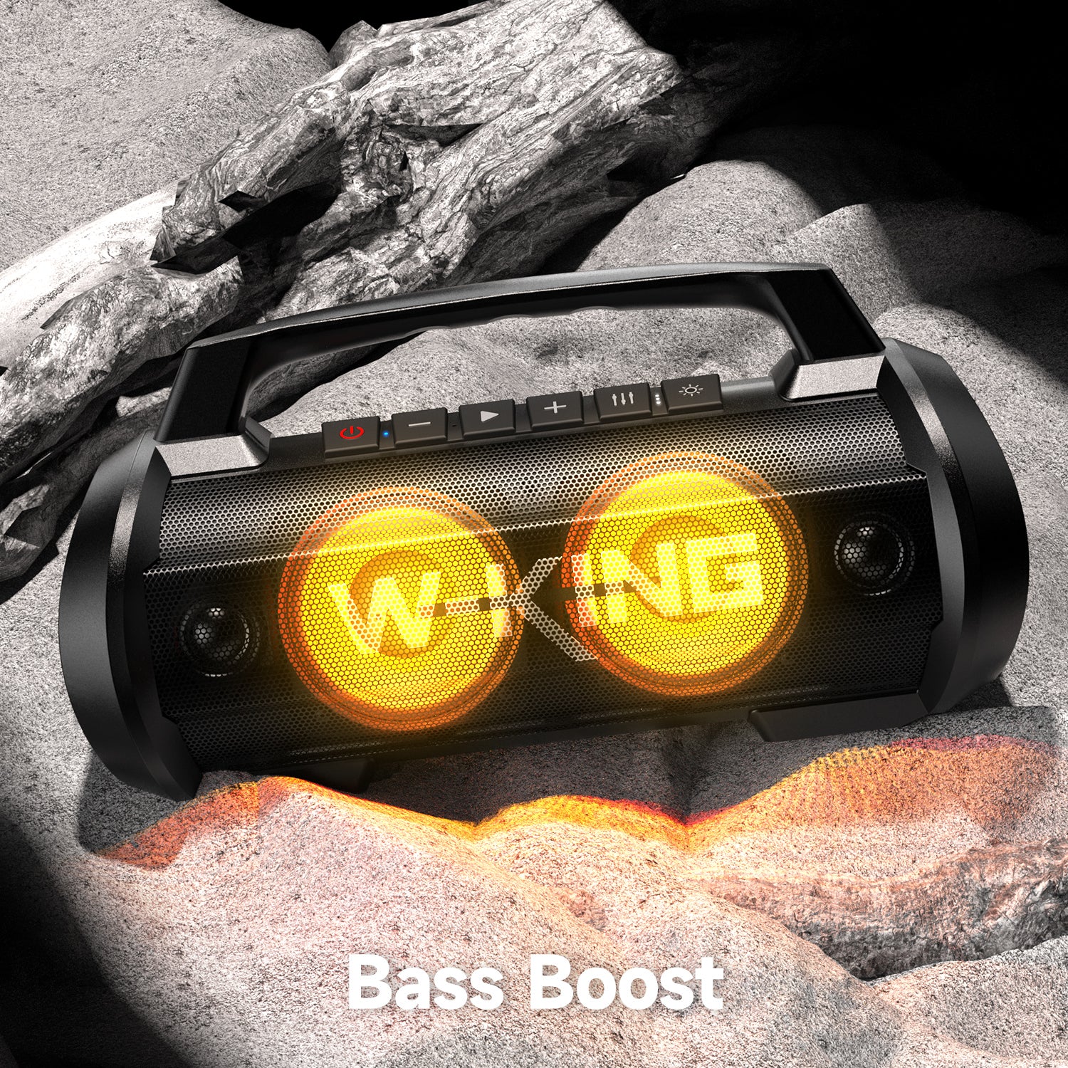 D10 - with Wireless Mic