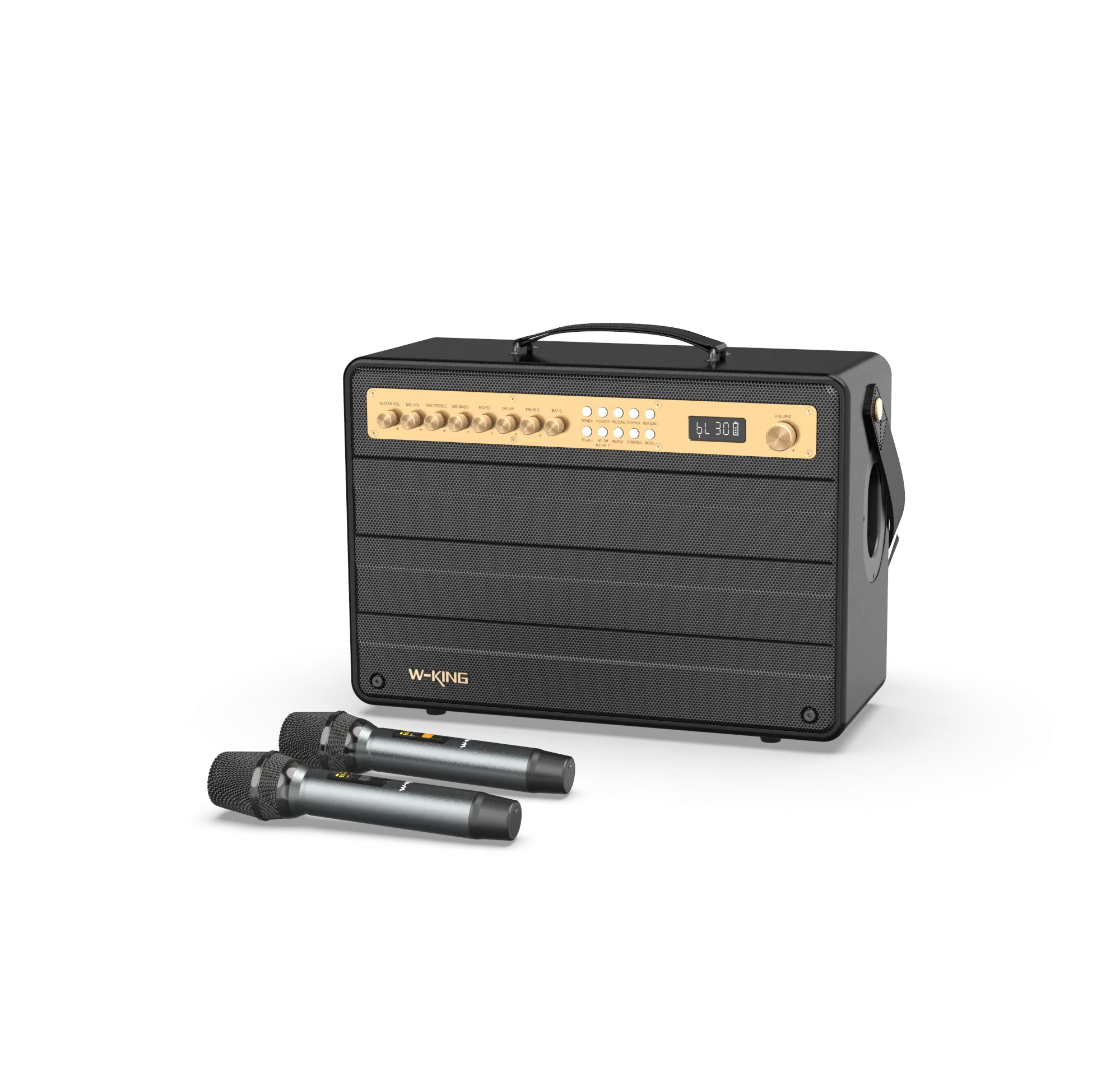 W-KING K6 Plus Portable Karaoke Speaker