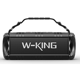 wkingspeaker