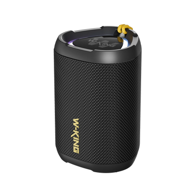 W-KING D110  Portable Bluetooth Speaker