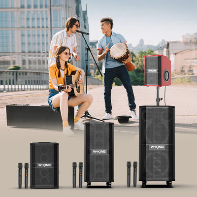 W-KING K20 Portable Karaoke Bluetooth Speaker