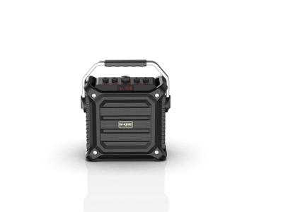 W-KING K3H Karaoke Bluetooth Speaker With Wireless Microphone