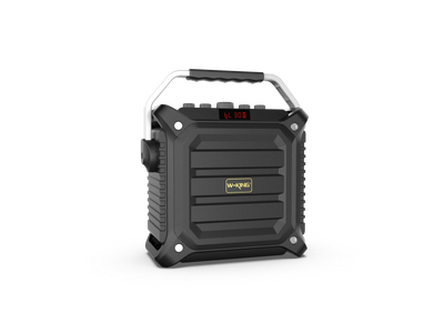 W-KING K3H Karaoke Bluetooth Speaker With Wireless Microphone