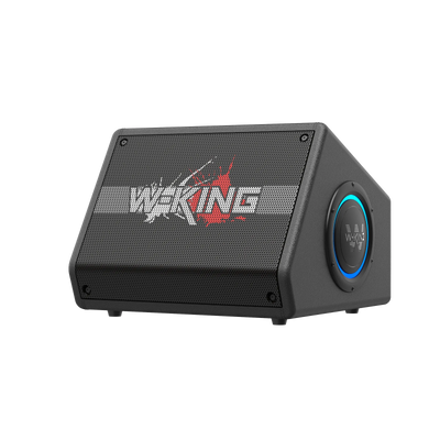 W-KING K40 Karaoke Bluetooth Speaker