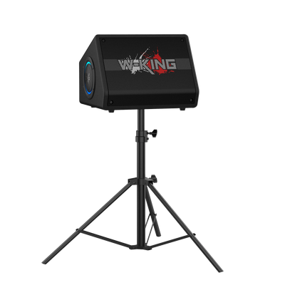 W-KING K40 Karaoke Bluetooth Speaker
