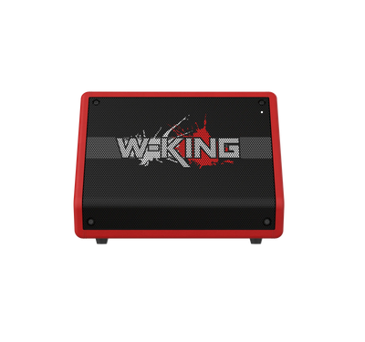 W-KING K40 Karaoke Bluetooth Speaker
