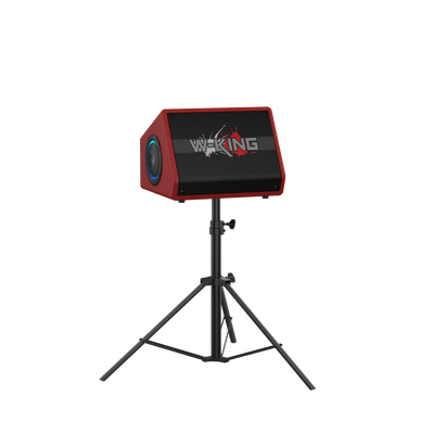 W-KING K40 Karaoke Bluetooth Speaker