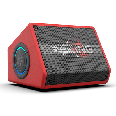 W-KING K40 Karaoke Bluetooth Speaker