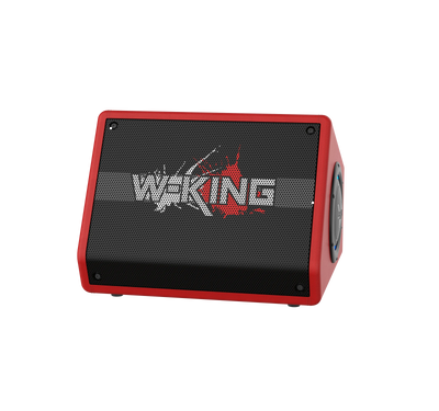 W-KING K40 Karaoke Bluetooth Speaker