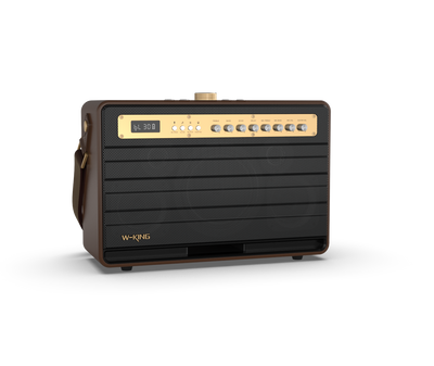 W-KING K6L Portable Karaoke Speaker with Wireless Microphone