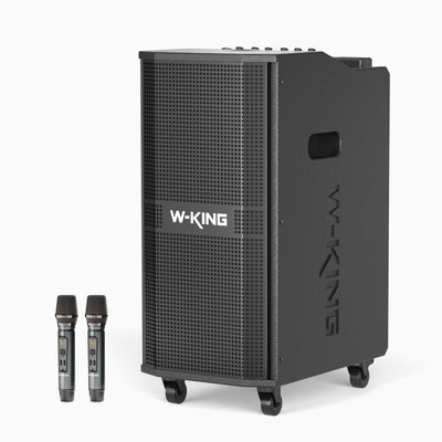 W-KING K20 Portable Karaoke Bluetooth Speaker