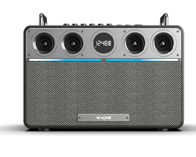 W-KING T16L Portable Karaoke Speaker
