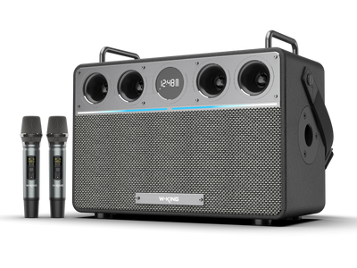 W-KING T16L Portable Karaoke Speaker