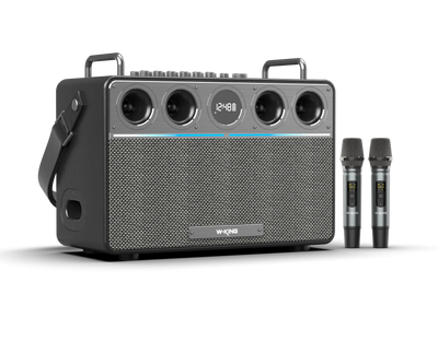 W-KING T16L Portable Karaoke Speaker