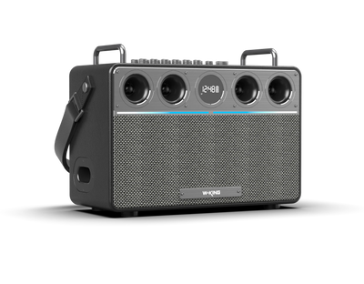 W-KING T16L Portable Karaoke Speaker