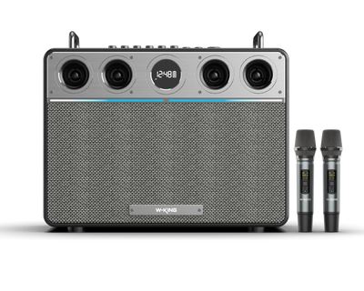 W-KING T16 Plus Portable Karaoke Speaker
