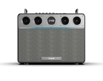 W-KING T16 Plus Portable Karaoke Speaker