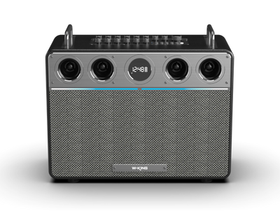 W-KING T16 Plus Portable Karaoke Speaker