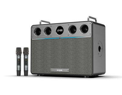 W-KING T16 Plus Portable Karaoke Speaker