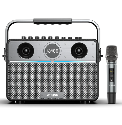 W-KING T16S Portable Karaoke Speaker