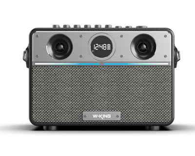 W-KING T16S Portable Karaoke Speaker