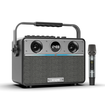 W-KING T16S Portable Karaoke Speaker