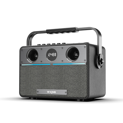W-KING T16S Portable Karaoke Speaker
