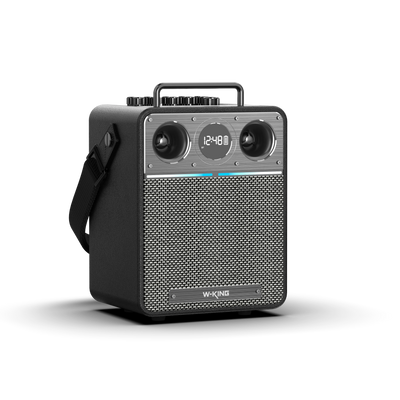 W-KING T6S Portable Karaoke Speaker