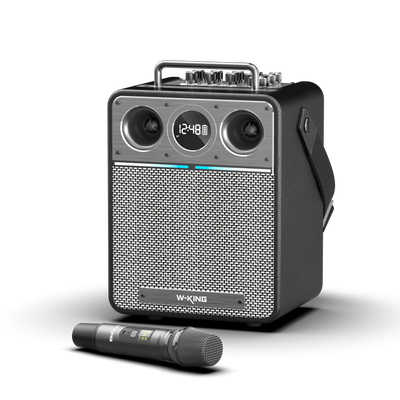 W-KING T6S Portable Karaoke Speaker