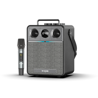 W-KING T6S Portable Karaoke Speaker