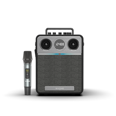 W-KING T6S Portable Karaoke Speaker