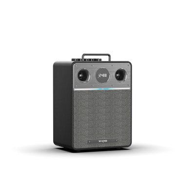 W-KING T6 Portable Karaoke Speaker