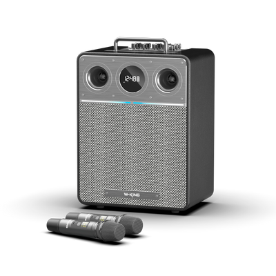 W-KING T6 Portable Karaoke Speaker