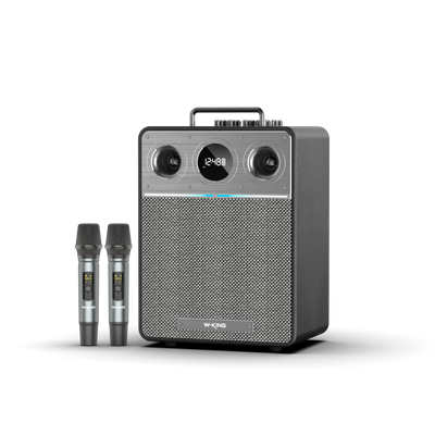 W-KING T6 Portable Karaoke Speaker