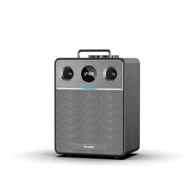 W-KING T6 Portable Karaoke Speaker
