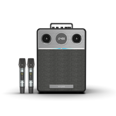 W-KING T6 Portable Karaoke Speaker