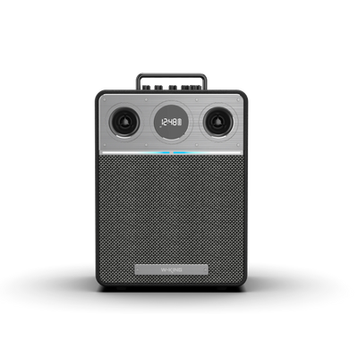 W-KING T6 Portable Karaoke Speaker