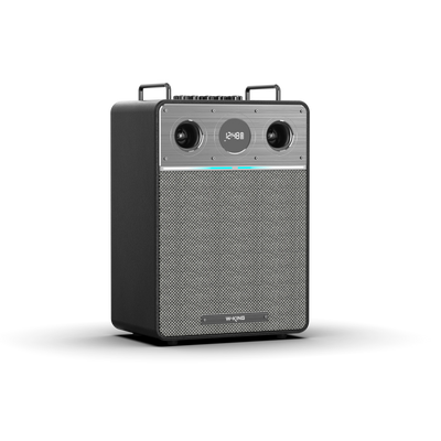 W-KING T6 Pro Portable Karaoke Speaker