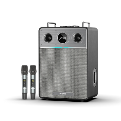 W-KING T6 Pro Portable Karaoke Speaker