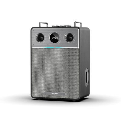 W-KING T6 Pro Portable Karaoke Speaker