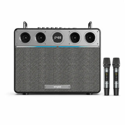 W-KING T16 Plus 300W RMS Portable Karaoke Speaker