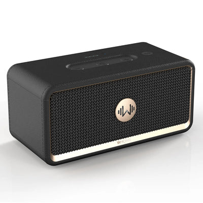 W-KING H130 Rugged Outdoor Bluetooth Speaker