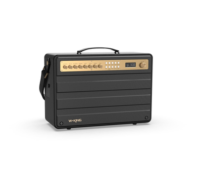 W-KING K6 Plus Portable Karaoke Speaker