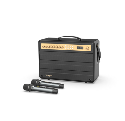 W-KING K6 Plus Portable Karaoke Speaker