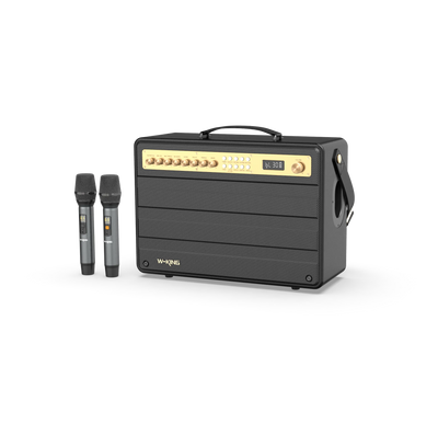 W-KING K6 Plus Portable Karaoke Speaker