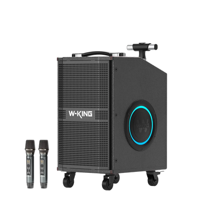 W-KING K21 SE Compact Karaoke Bluetooth Speaker