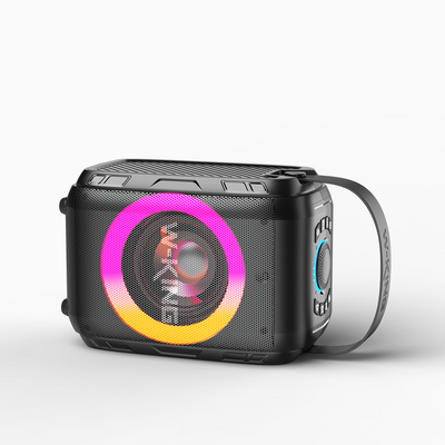 W-KING T9S Karaoke Party Speaker with Dual Wireless Microphones