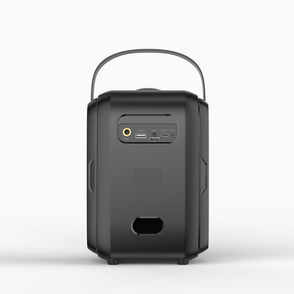 T9S - with Wireless Mic