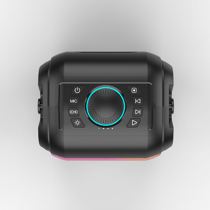 T9S - with Wireless Mic