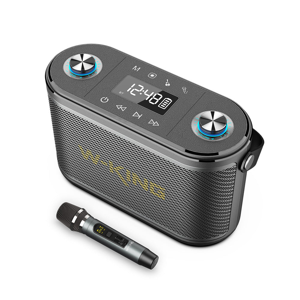 H10S - 80W